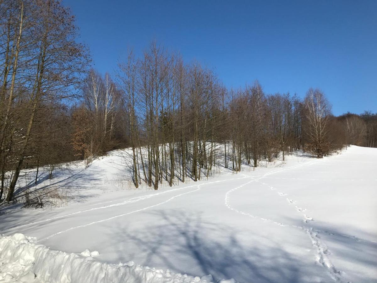 Nowy Dom Udrycze Aparthotel Bagian luar foto